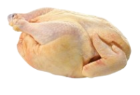 imagem de Galinha e Galo